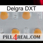 Delgra DXT 24